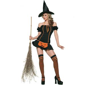 Sexy Halloween Costumes 2010, Witch Costume, Adult Halloween Costumes, #CP4096