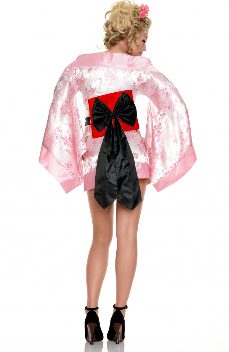 Adult Geisha Costumes 5