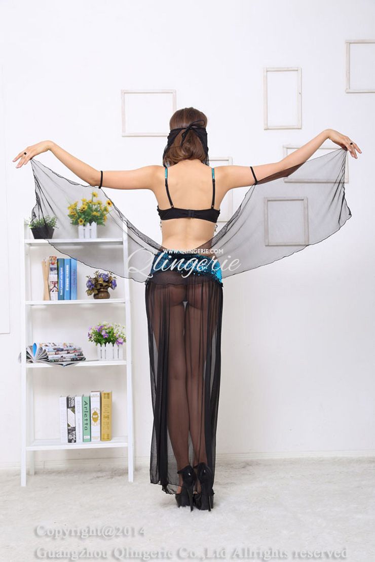 Arabian Dancer Costume, Harem Belly Dancer Costume, Belly Dancer Costume, #C2785
