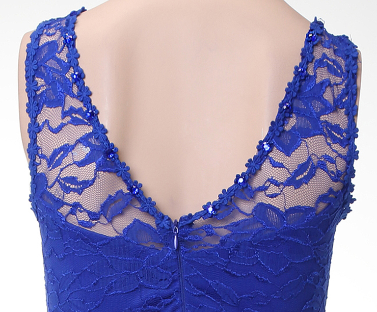 Hot Sexy Royalblue Lace Sleeveless Long Evening Party Gown N11134 