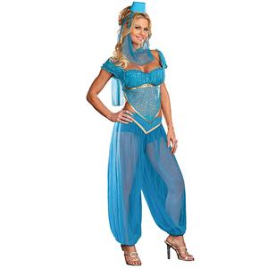 Sexy Indian Costume, Sexy Indian Costumes Women, Genie Rhoda Carpet Costume, #G2614