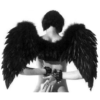 Sexy black angel