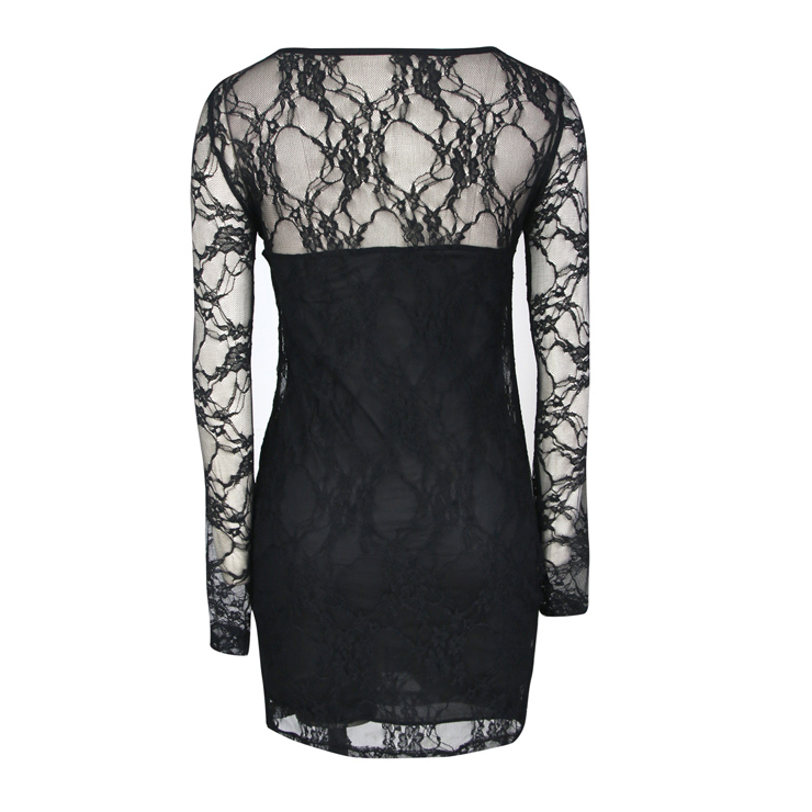 Charming Black Sheer Lace Overlay Long Sleeve Bodycon Mini Dress N6922