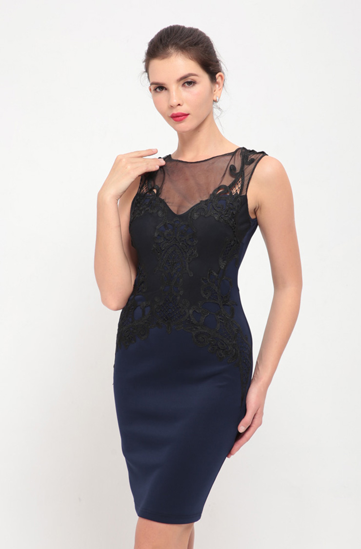 Elegant Floral Lace Sleeveless Bodycon Dress N12639