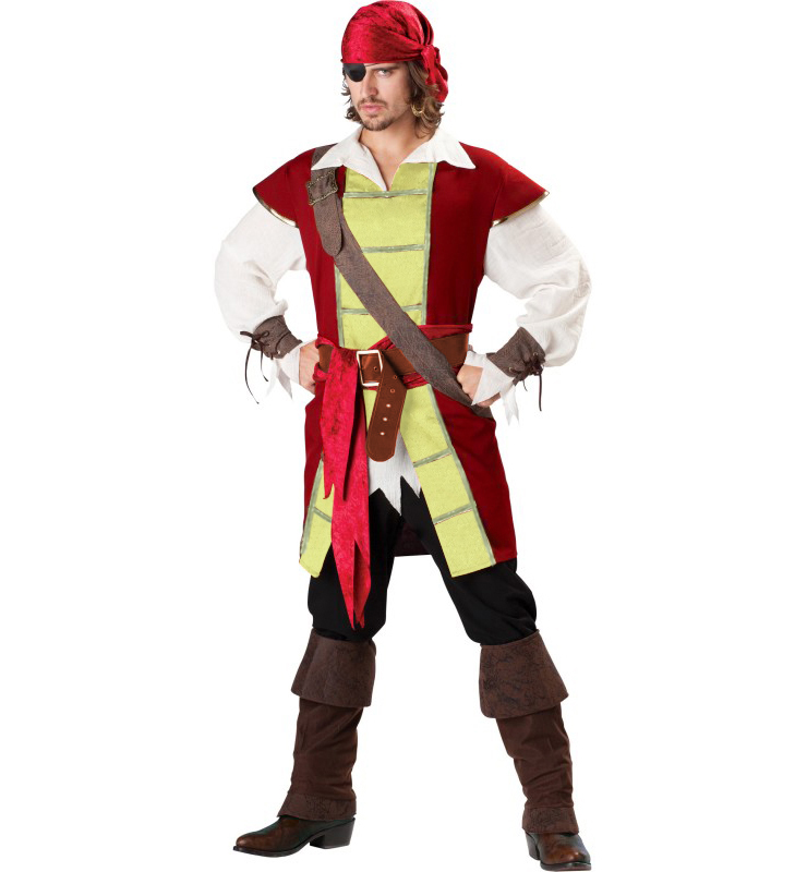 Swashbuckler Premier Adult Costume N6786