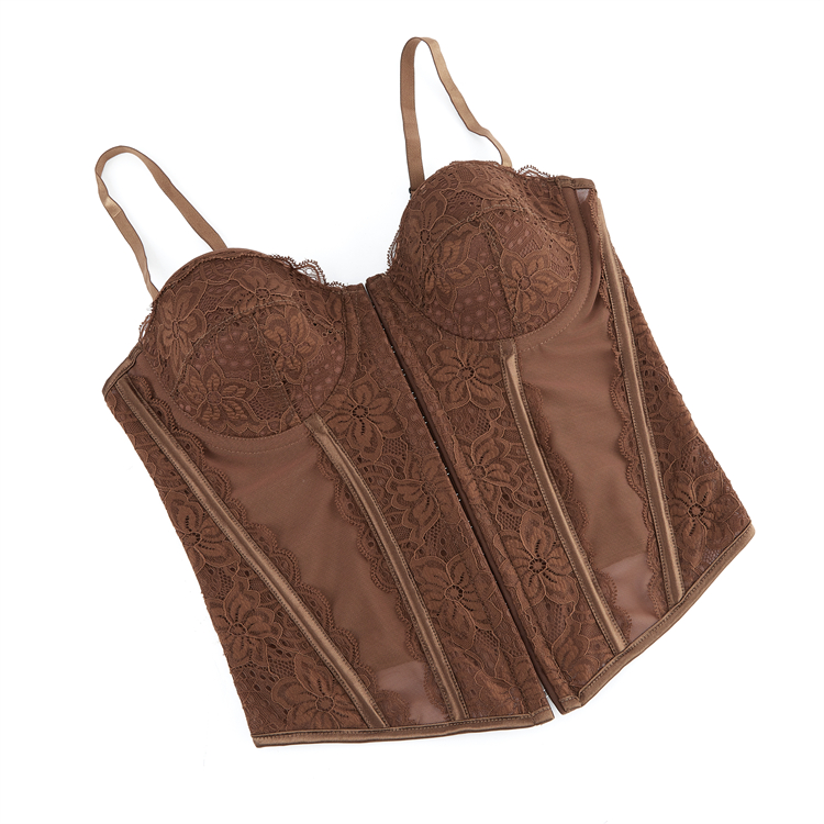 Lace corset, Adjustable bustier, Sheer mesh lingerie, Vintage corset top, Front Paikou corset, Burlesque performance, Romantic intimate wear, Pin-up style, Gothic lingerie, Elegant shapewear #N23793